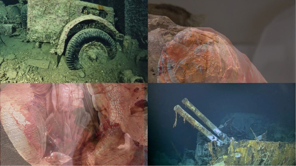 Polyptych from «Drift» on methacrylate and dibond: four panels with images of pathological anatomy and shipwrecks.